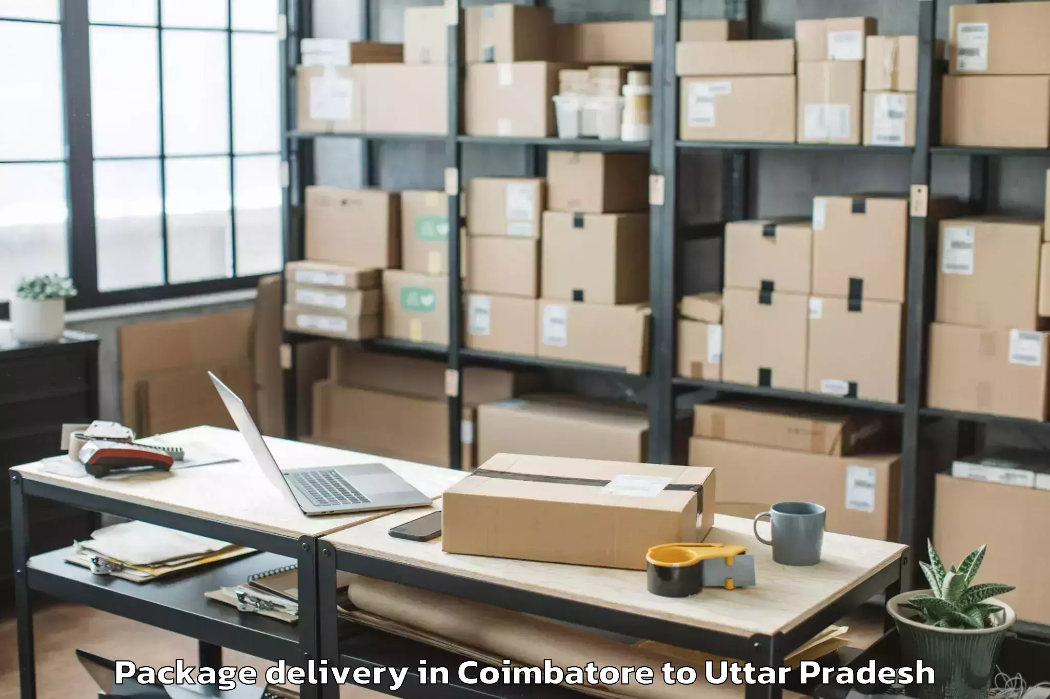 Quality Coimbatore to Chillupar Package Delivery